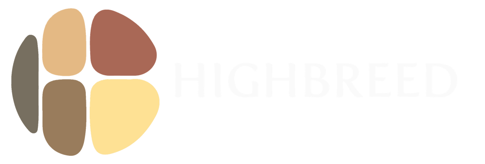 HighBreed
logo - Full-service recording studios, video production, and artist
development in NYC